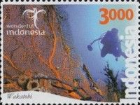 Wakatobi
