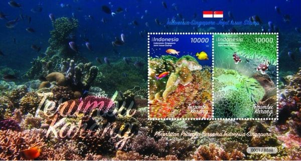 Corals and Fish