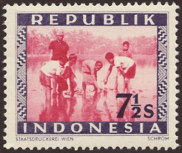 Rice planting