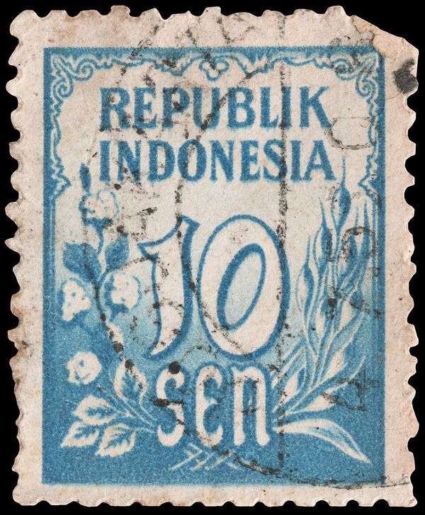 Rice and Cotton