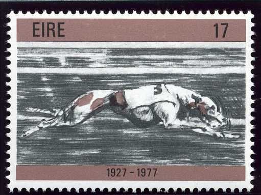 Dog Racing 1927-1977
