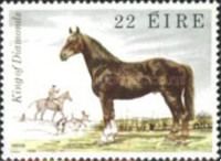 Draught Horse "King of Diamonds" (Equus ferus caballus)