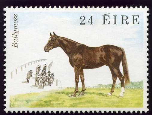 Racing Horse "Ballymoss" (Equus ferus caballus)