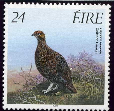 Willow Ptarmigan (Lagopus lagopus)