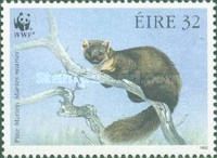 Pine Marten (Martes martes) on branch