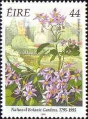National Botanic Gardens 1795-1995 - Solanum crispum 'Glasve
