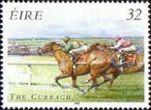 The Curragh