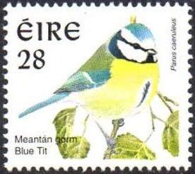 Eurasian Blue Tit (Parus caeruleus)