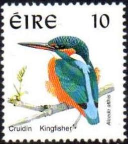 Common Kingfisher (Alcedo atthis)
