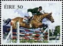 Show Jumping
