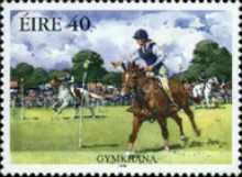 Gymkhana