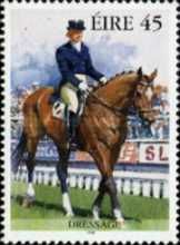Dressage