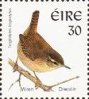 Eurasian Wren (Troglodytes troglodytes)