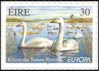 Europa - Kilcolman Nature Reserve