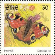 European Peacock (Inachis io)
