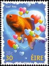 Cool Pets - Goldfish