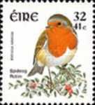 European Robin (Erithacus rubecula)