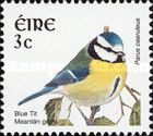 Eurasian Blue Tit (Parus caeruleus)