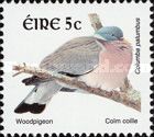 Common Woodpigeon (Columba palumbus)