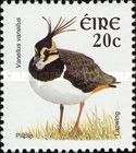 Northern Lapwing (Vanellus vanellus)