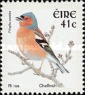 Chaffinch (Fringilla coelebs)
