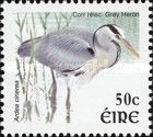 Grey Heron (Ardea cinerea)