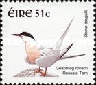 Roseate Tern (Sterna dougallii)