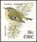 Goldcrest (Regulus regulus)