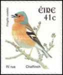 Common Chaffinch (Fringilla coelebs)