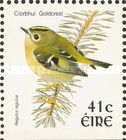Goldcrest (Regulus regulus)