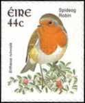 European Robin (Erithacus rubecula)