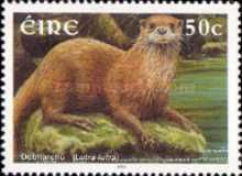 Eurasian Otter (Lutra lutra)