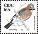 Eurasian Jay (Garrulus glandarius)