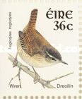 Eurasian Wren (Troglodytes troglodytes)