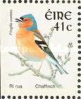 Common Chaffinch (Fringilla coelebs)