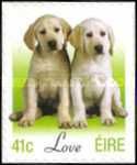 Love - Puppies
