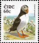 Atlantic Puffin (Fratercula arctica)