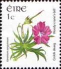 Bloody Crane's-Bill (Geranium sanguineum)