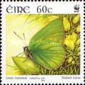 Green Hairstreak (Callophrys rubi)