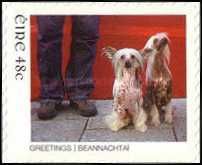 Two Dogs, Feet of a Man