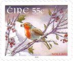 Robin Red-breast