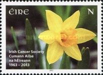 Irish Cancer Society 1963-2013