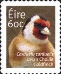 European Goldfinch (Carduelis carduelis)