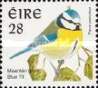 Eurasian Blue Tit (Parus caeruleus)