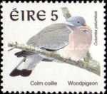 Common Woodpigeon (Columba palumbus)