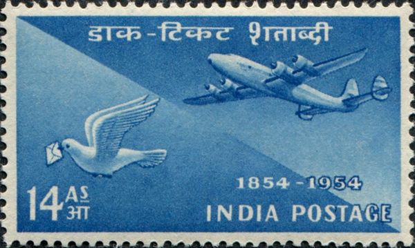 Pigeon and Plane