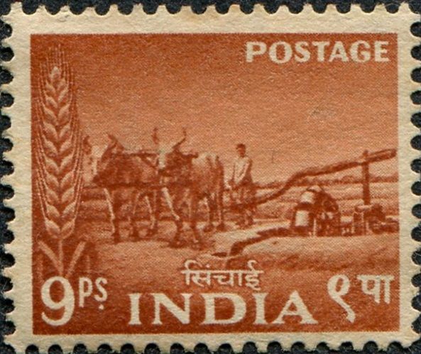 Bullock-driven Well