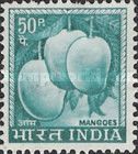 Mangoes (Mangifera indica)
