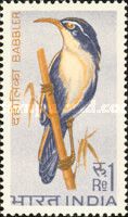 White-browed Scimitar Babbler (Pomatorhinus schisticeps)