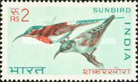 Crimson Sunbird (Aethopyga siparaja)
